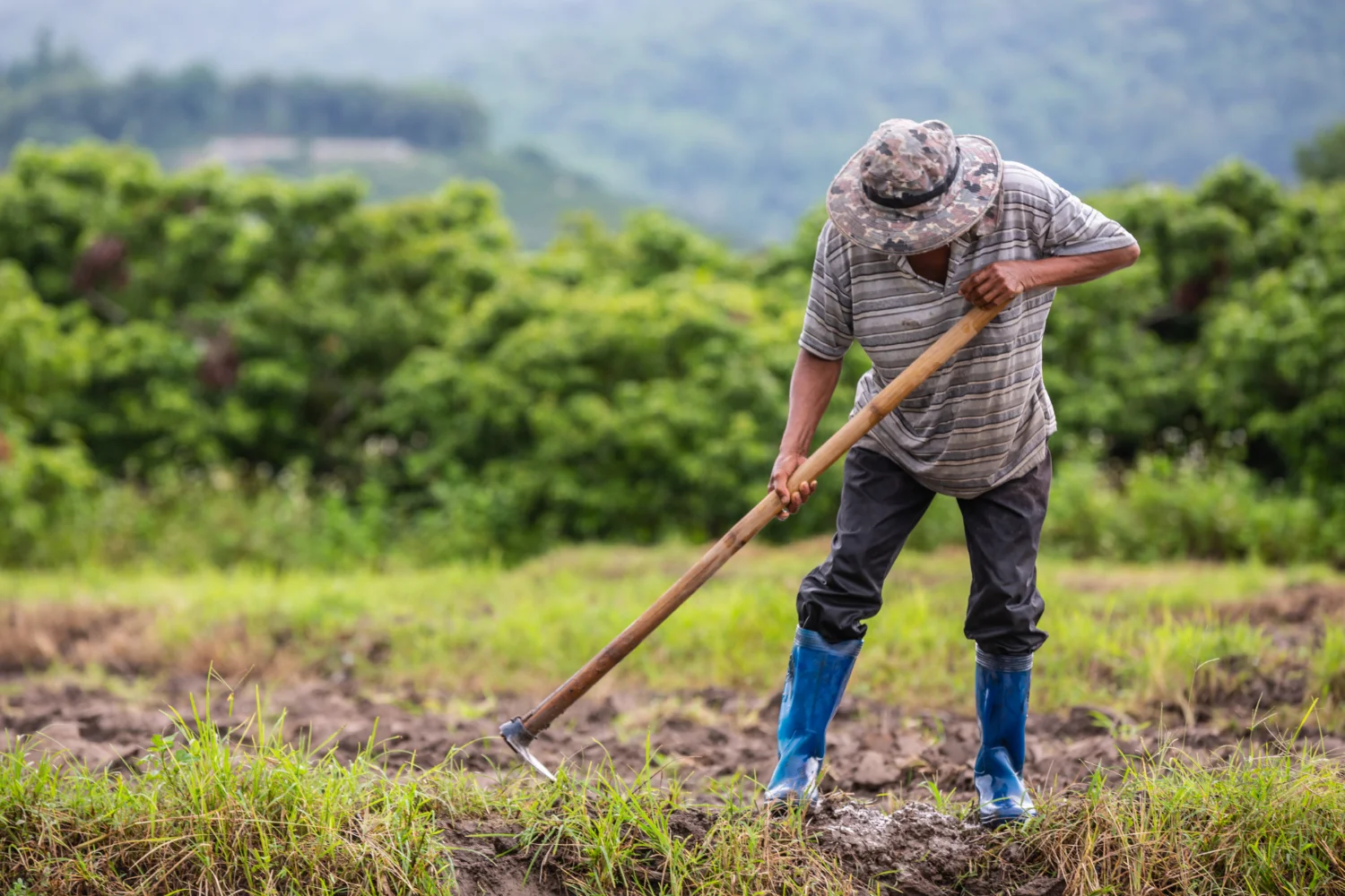 Hombre trabajando la tierra